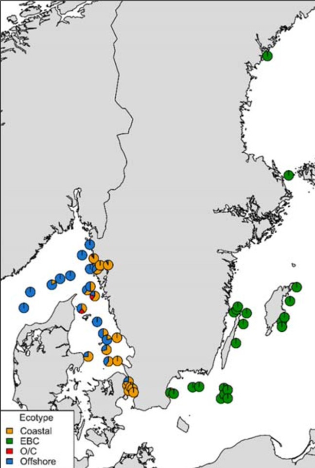 Figur 5, Karta från övervakningsmanualen Genetisk inomartsvariation