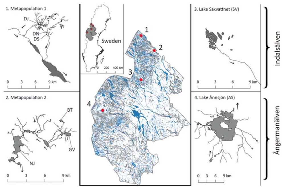 Figur 5, Karta från övervakningsmanualen Genetisk inomartsvariation
