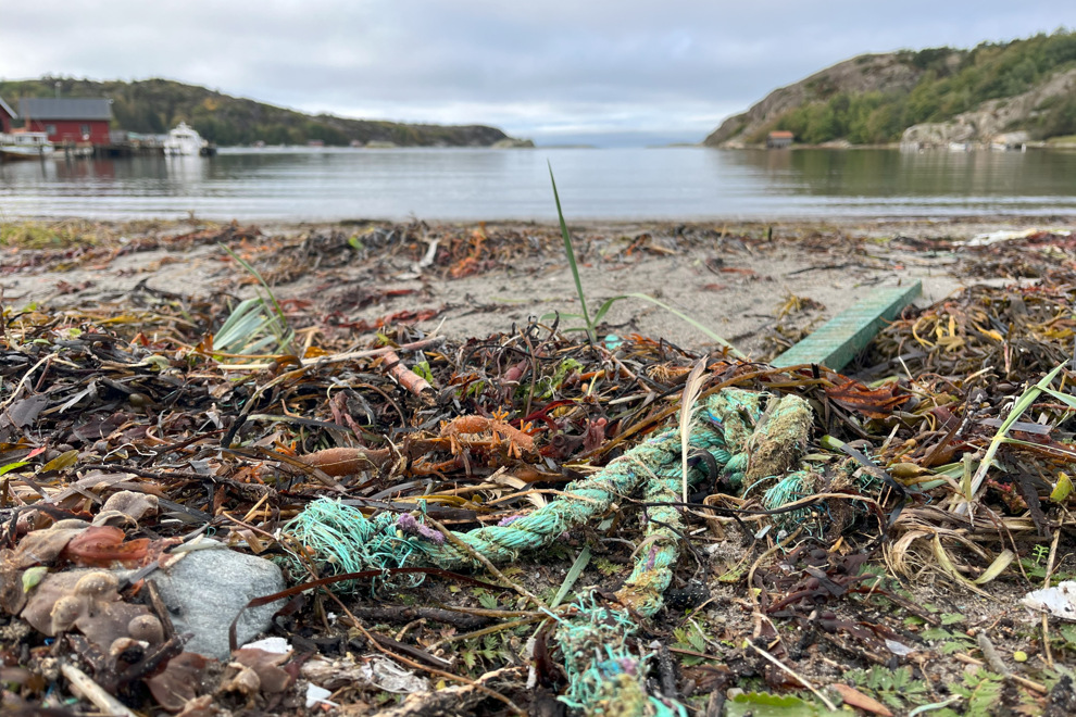skräp från havet ligger på en strand