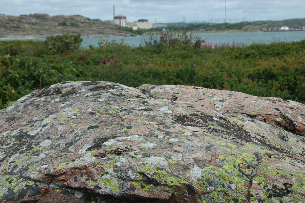 Kärkraftverket Ringhals