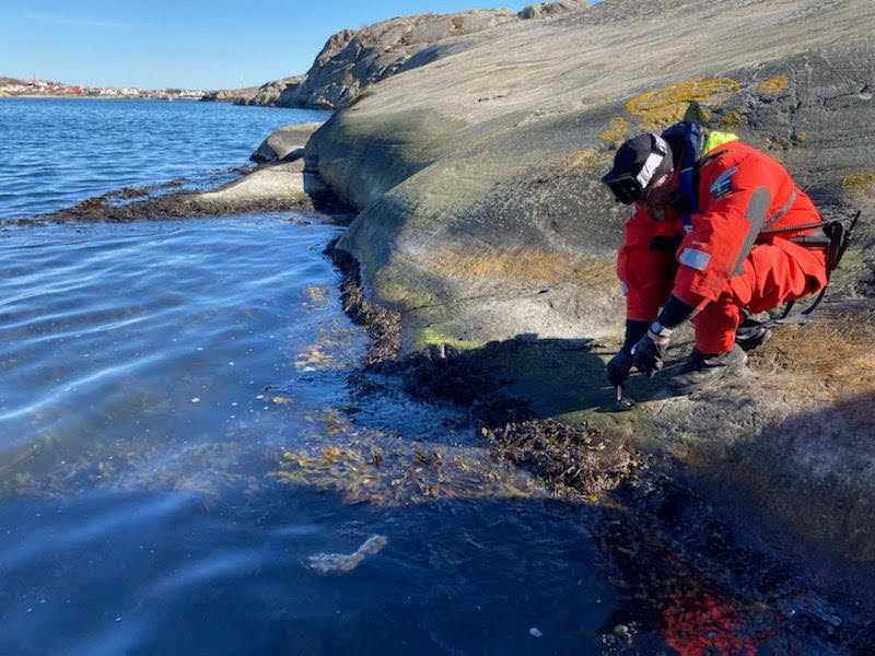 Kustbevakare tar upp olja vid Öckerö. Foto: Kustbevakningen