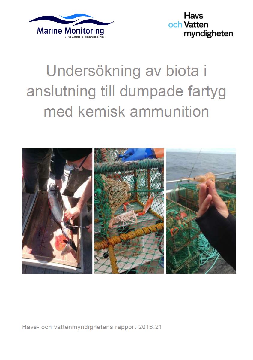 Omslag för publikation
