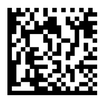 data matrix