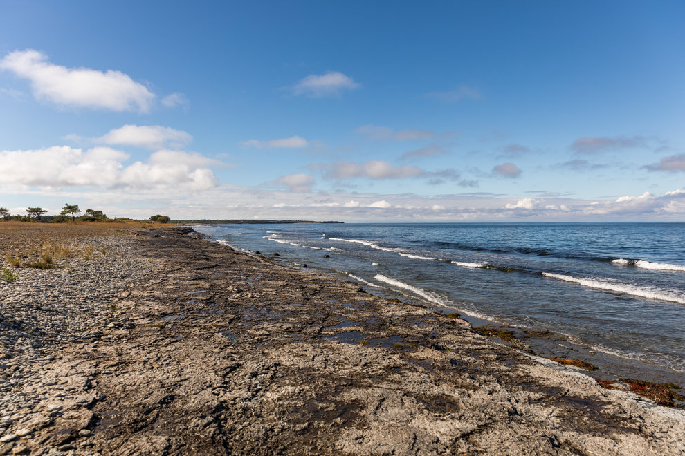 Byrums Raukar, Öland. Foto: Natalie Greppi