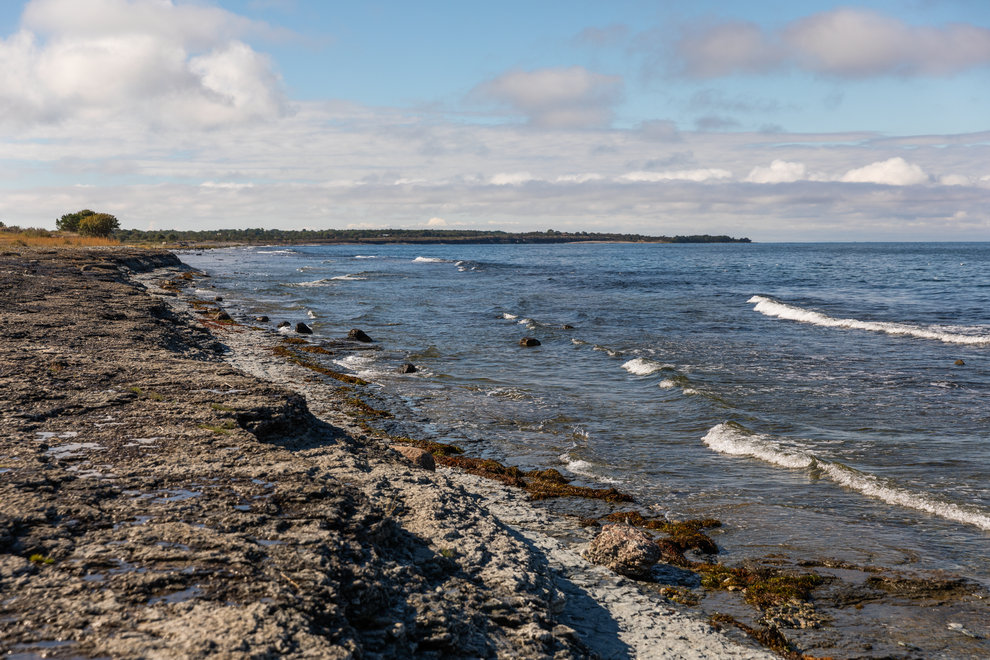 Strand vid havet på Öland