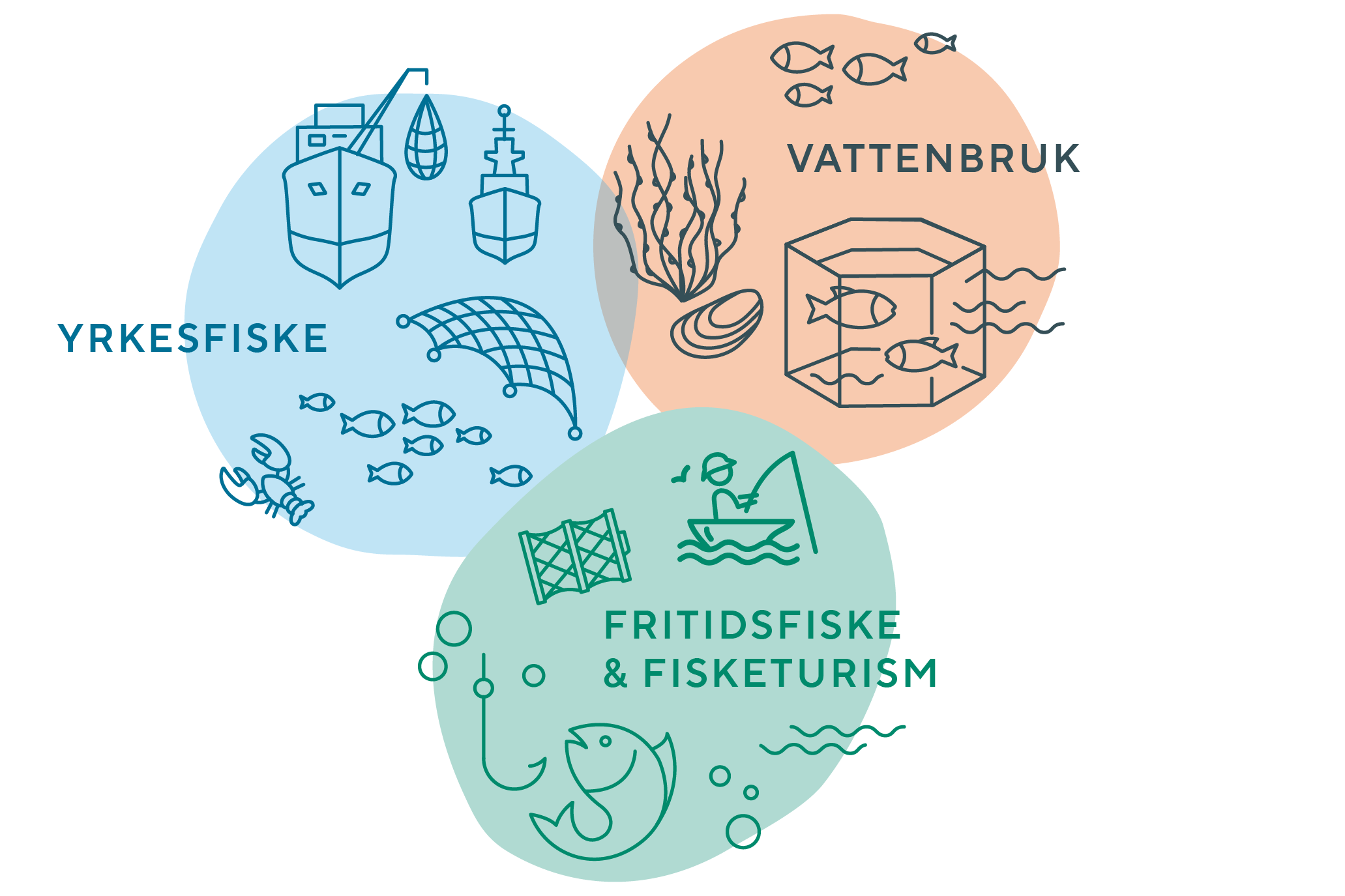 Illustration av yrkesfiske, fritidsfiske och vattenbruk.
