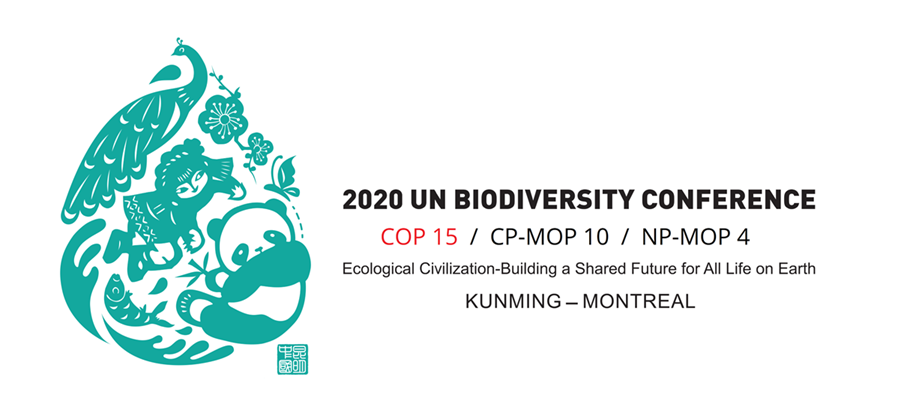 logga från konferensen cop 15