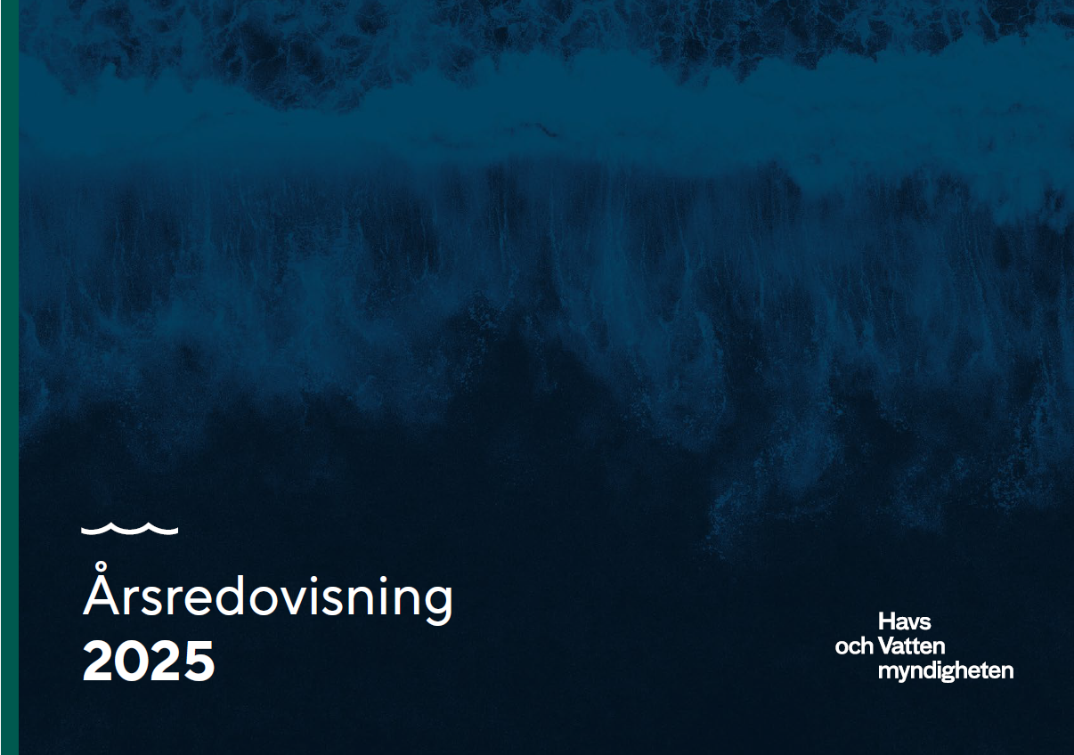 Omslag för publikation