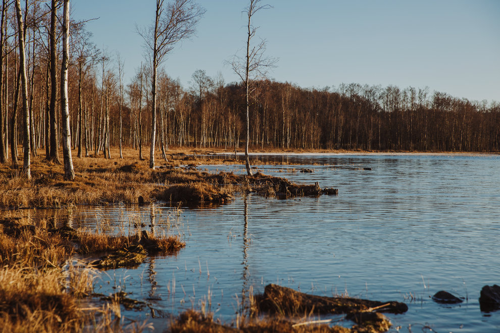 Insjö vintertid