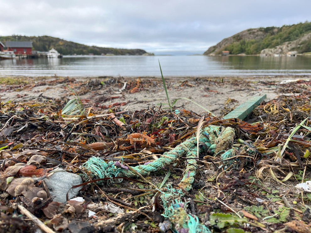 skräp från havet ligger på en strand