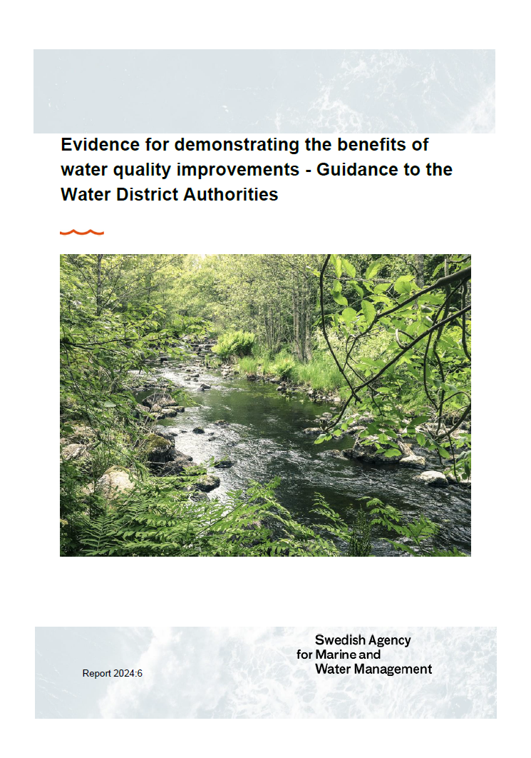 Omslag för publikation