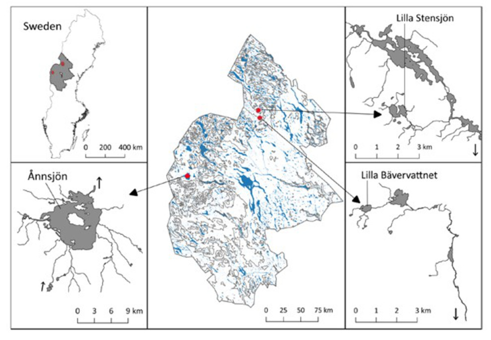 Karta som visar övervakning av genetisk mångfald i skyddade områden i Jämtland. 
