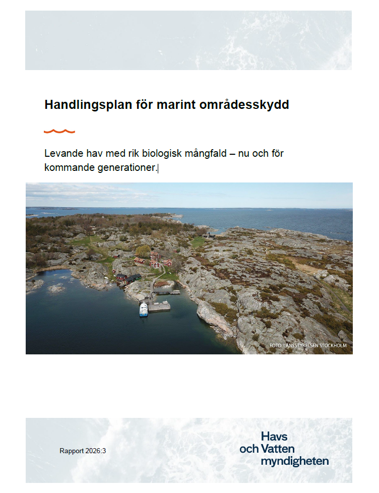 Omslag för publikation