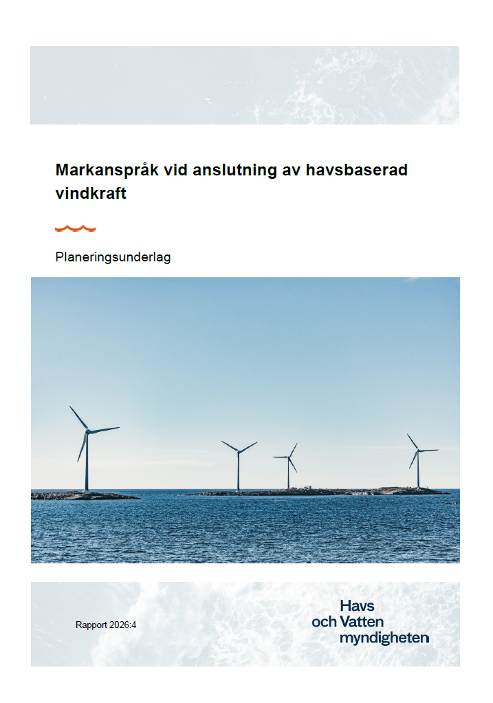 Omslag för publikation