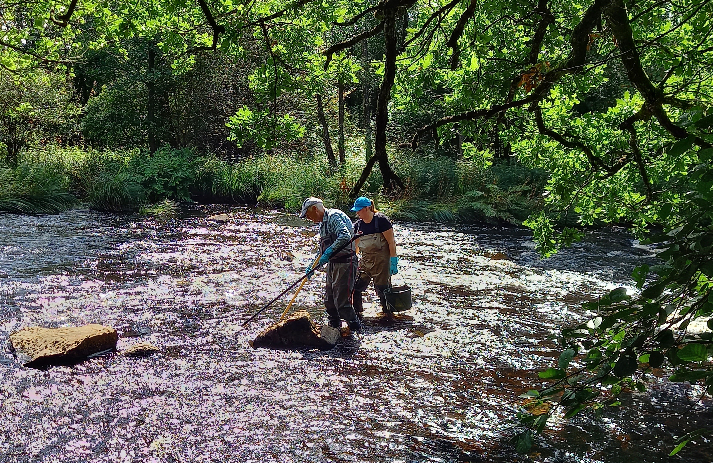 Tvp personer står i å, de har långa stavar och en hink i händerna. Grönskande träd i både förgrund och bakgrund. 