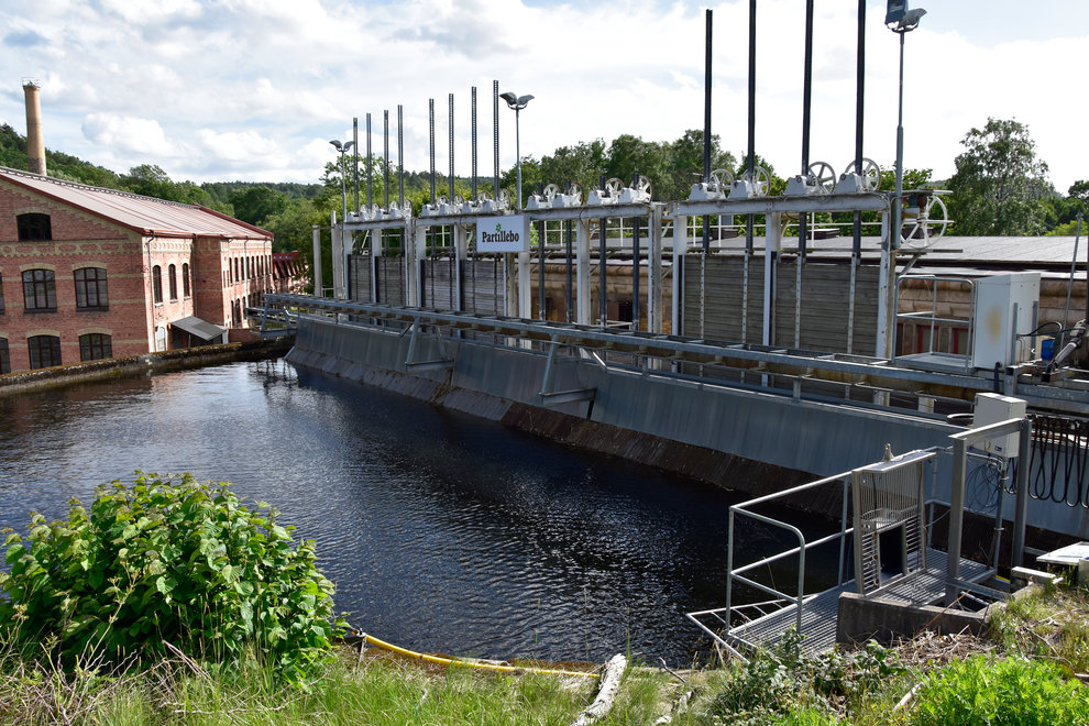 Riksdagen har beslutat att alla vattenkraftverk ska förses med moderna miljövillkor. Foto: Anna Erwander/HaV