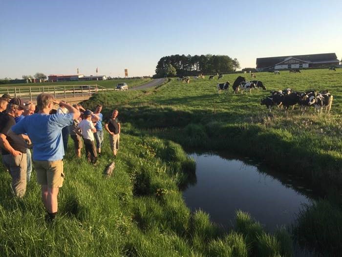 Grupp står och blickar över en å och en kohage.