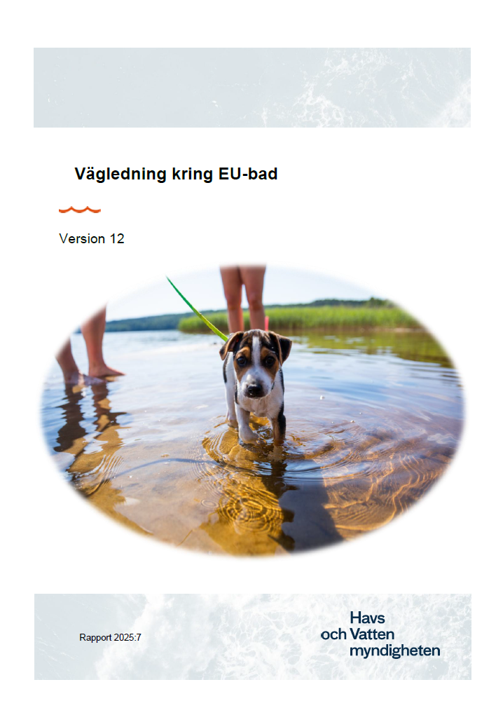 Omslag för publikation