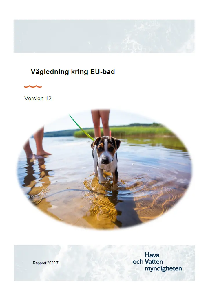 Omslag för publikation