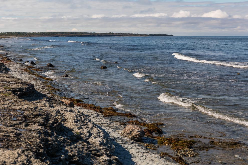 Vittrad berggrund längs med strandkant. Vågor rullar in mot strandkanten. Landskapet är kargt och i bakgrunden syns moln på en blå himmel.