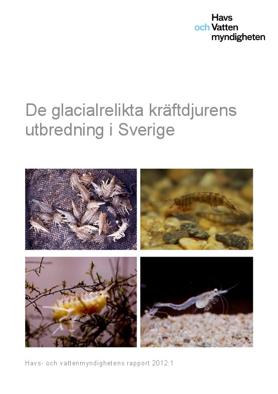 Omslag till rapport. Illustration.