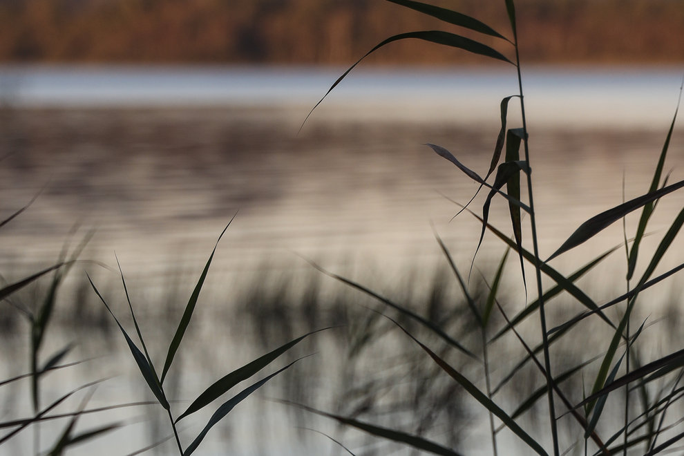 Inte bara fisken utan även naturupplevelsen är viktig för många fritidsfiskare. Foto: Mats GE Svensson