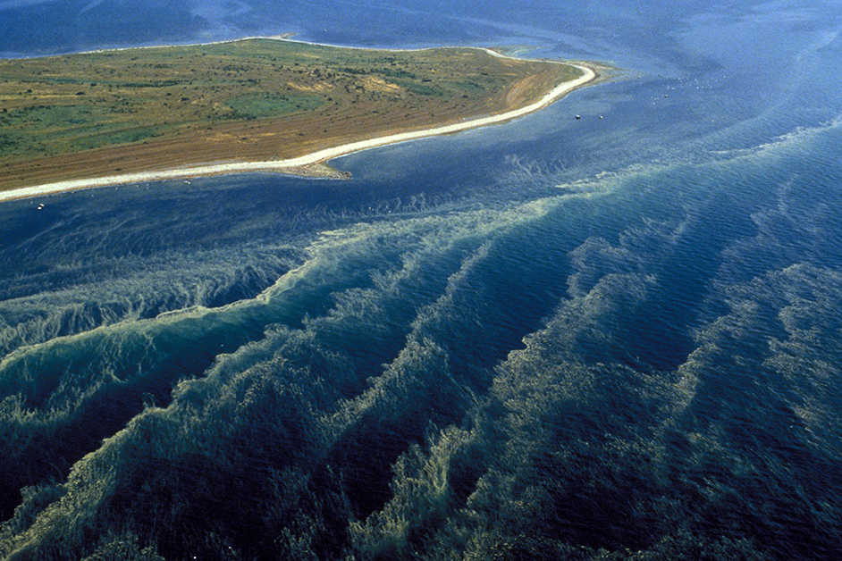 Flygfoto över algblomning i Östersjön.