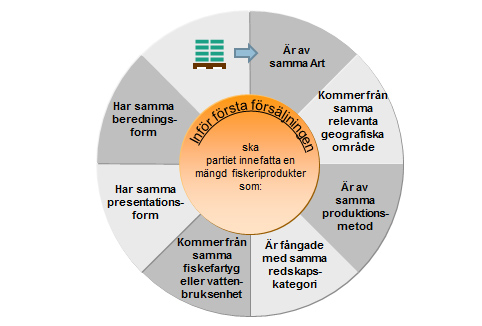 Principer för partiindelning inför första försäljning. illustration.