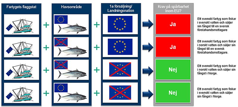Exempel på krav på spårbarhet för EU-fartyg. Illustration