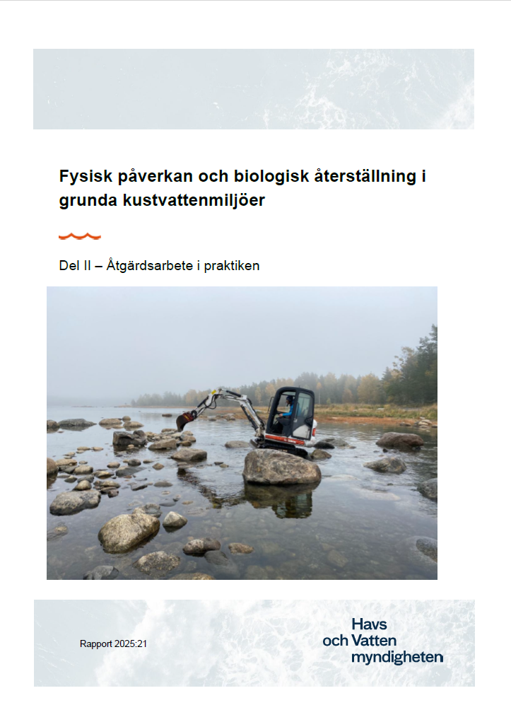 Omslag för publikation