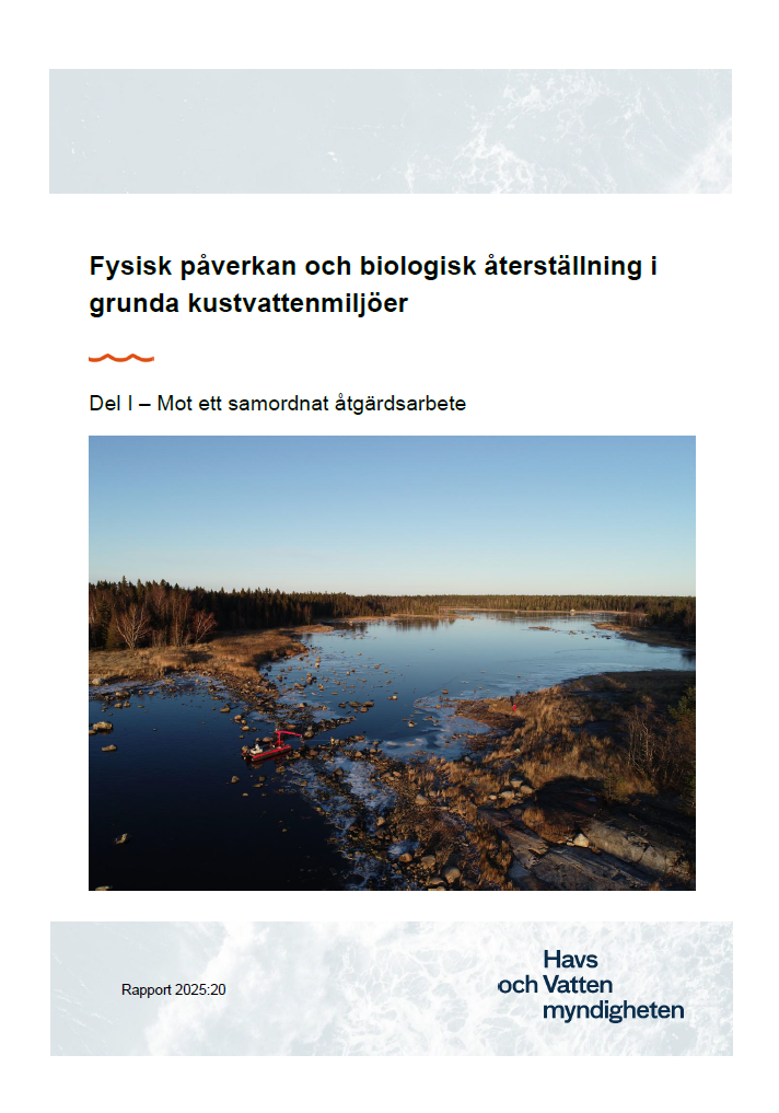 Omslag för publikation