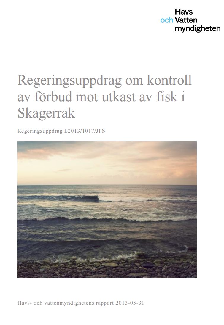 Omslag till rapport. Illustration.