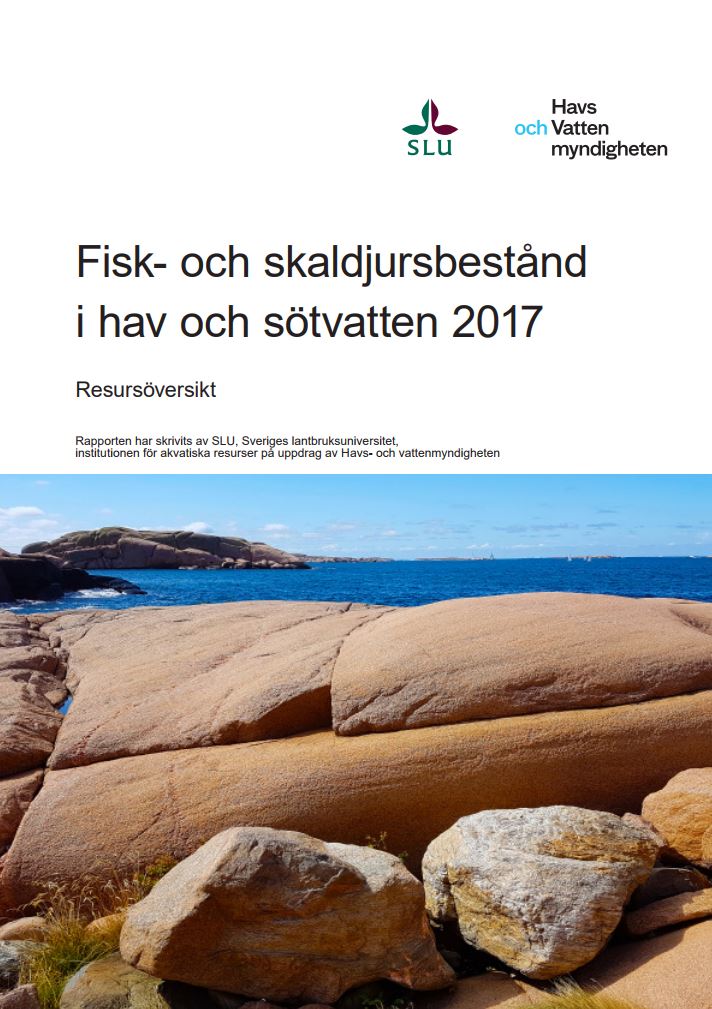 Omslag för publikation