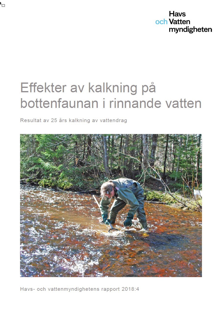 Omslag för publikation