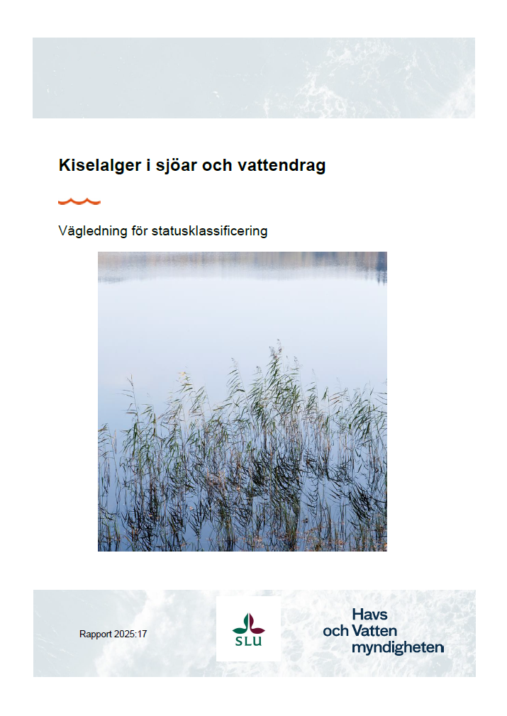 Omslag för publikation