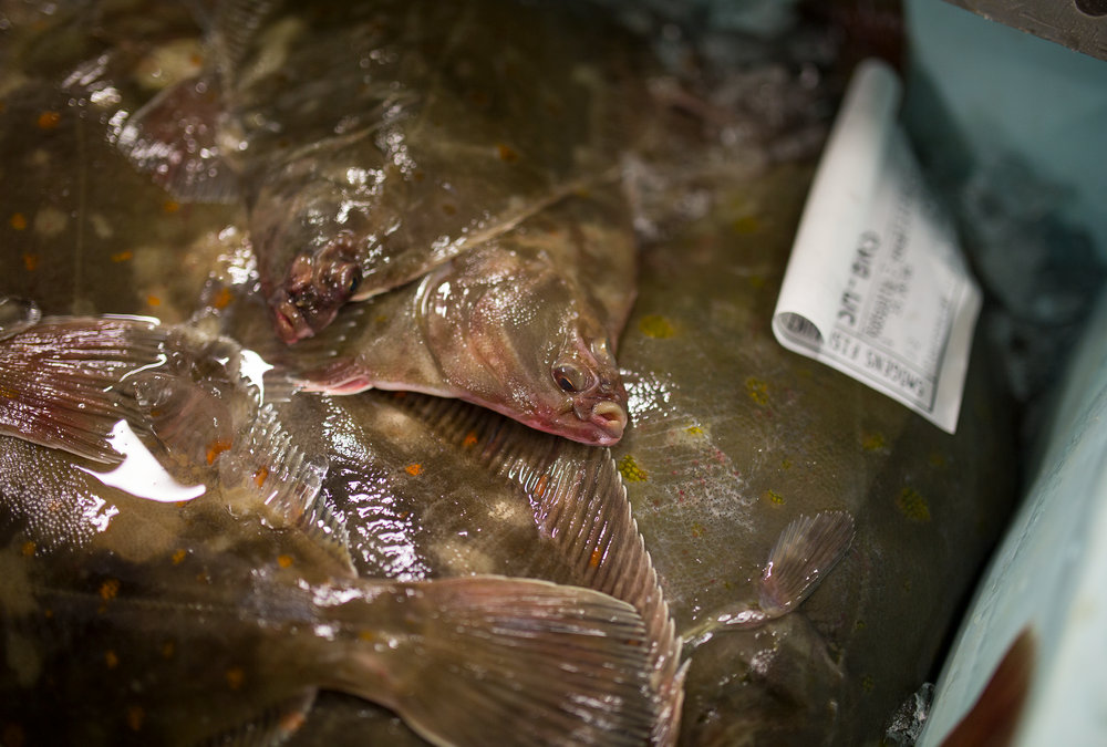 Fisk i låda.