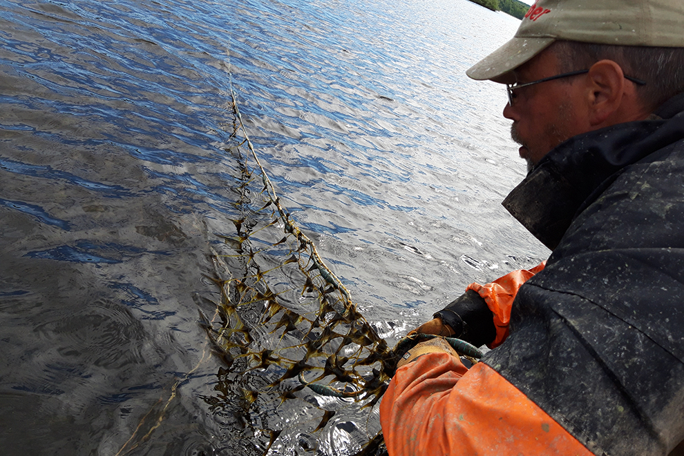 Fiskare bedriver utfiskning i Finjasjön.