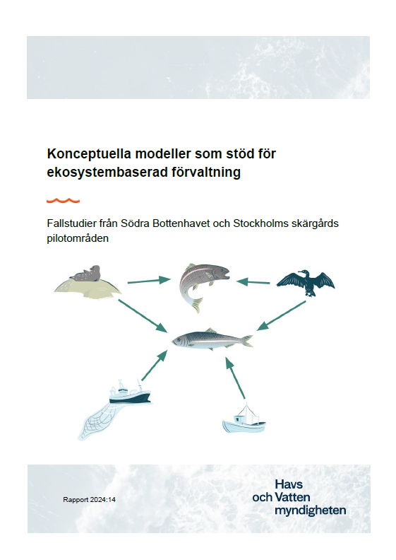 Omslag för publikation