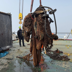 Trawl net.
