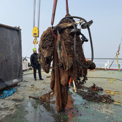 Trawl nets.
