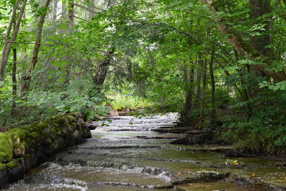 Skog och vatten