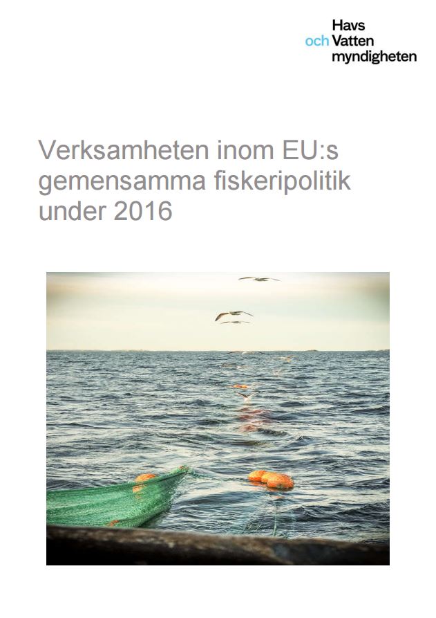 Omslag till rapport.