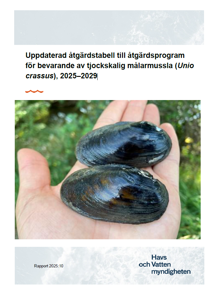 Omslag för publikation