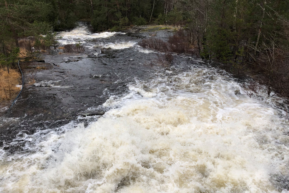 Rapporten är en viktig del i det påbörjade arbetet inom den nya strategin för framtidens fiske. Foto: Natalie Greppi