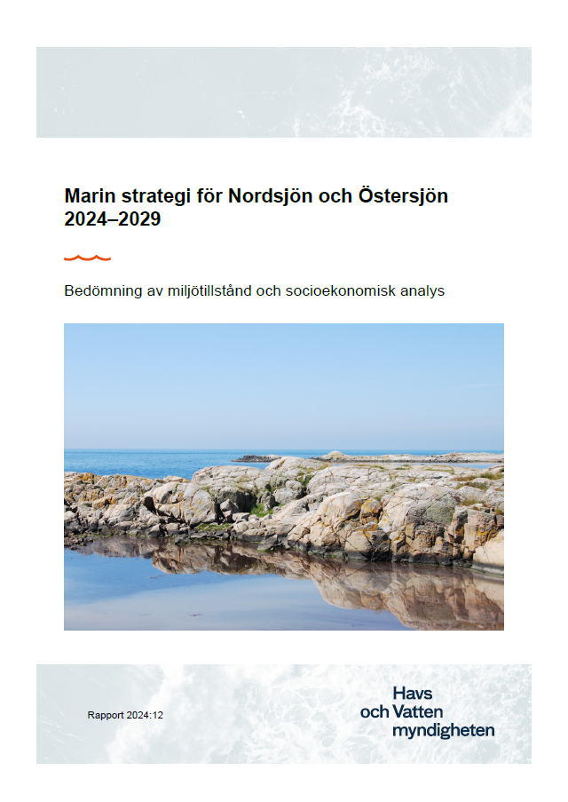 Omslag för publikation