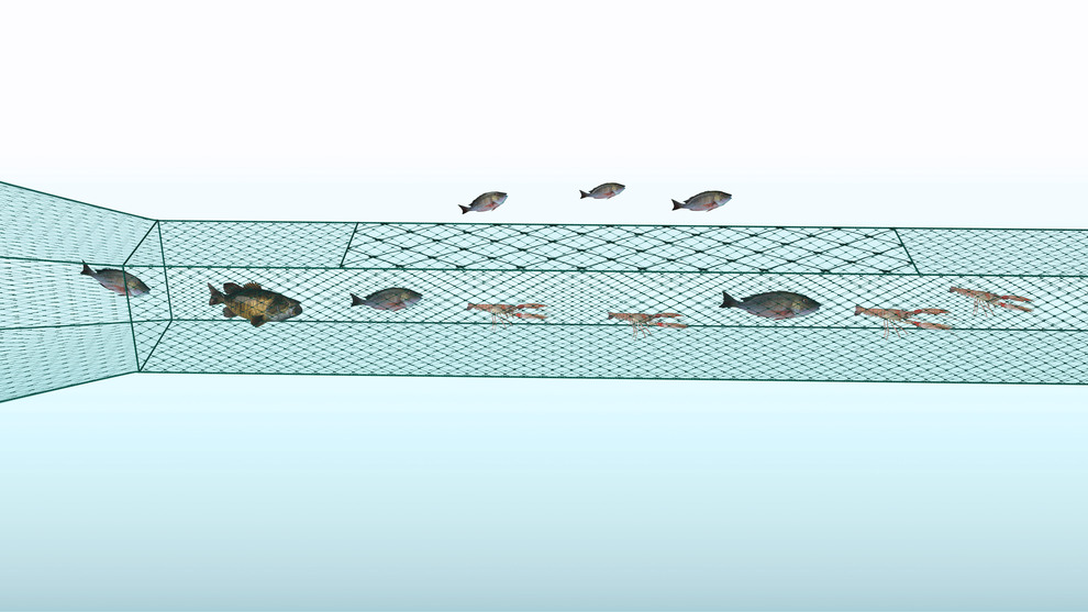Illustration av närbild av seltratrål för fisk och kräfta (redskapskod 345).