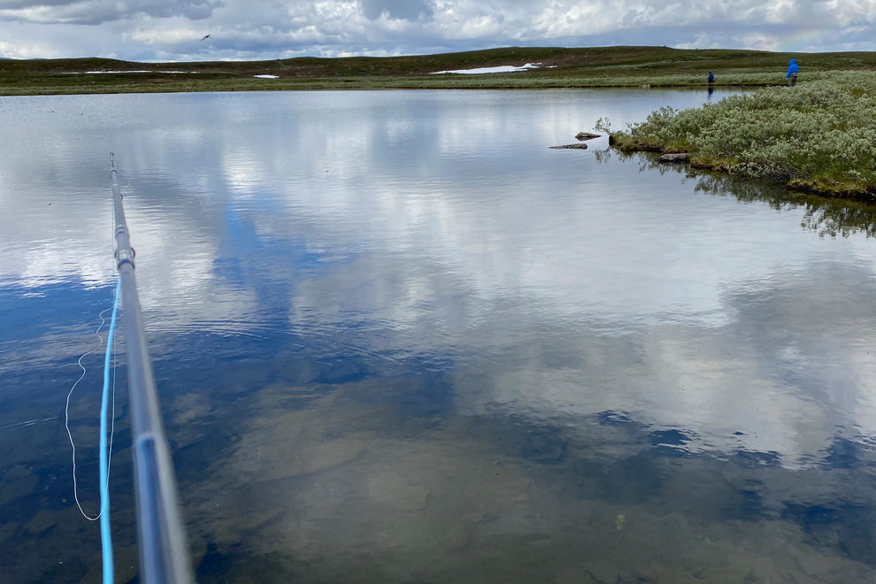 Flugfiske i Ammarnäs, Västerbottens län