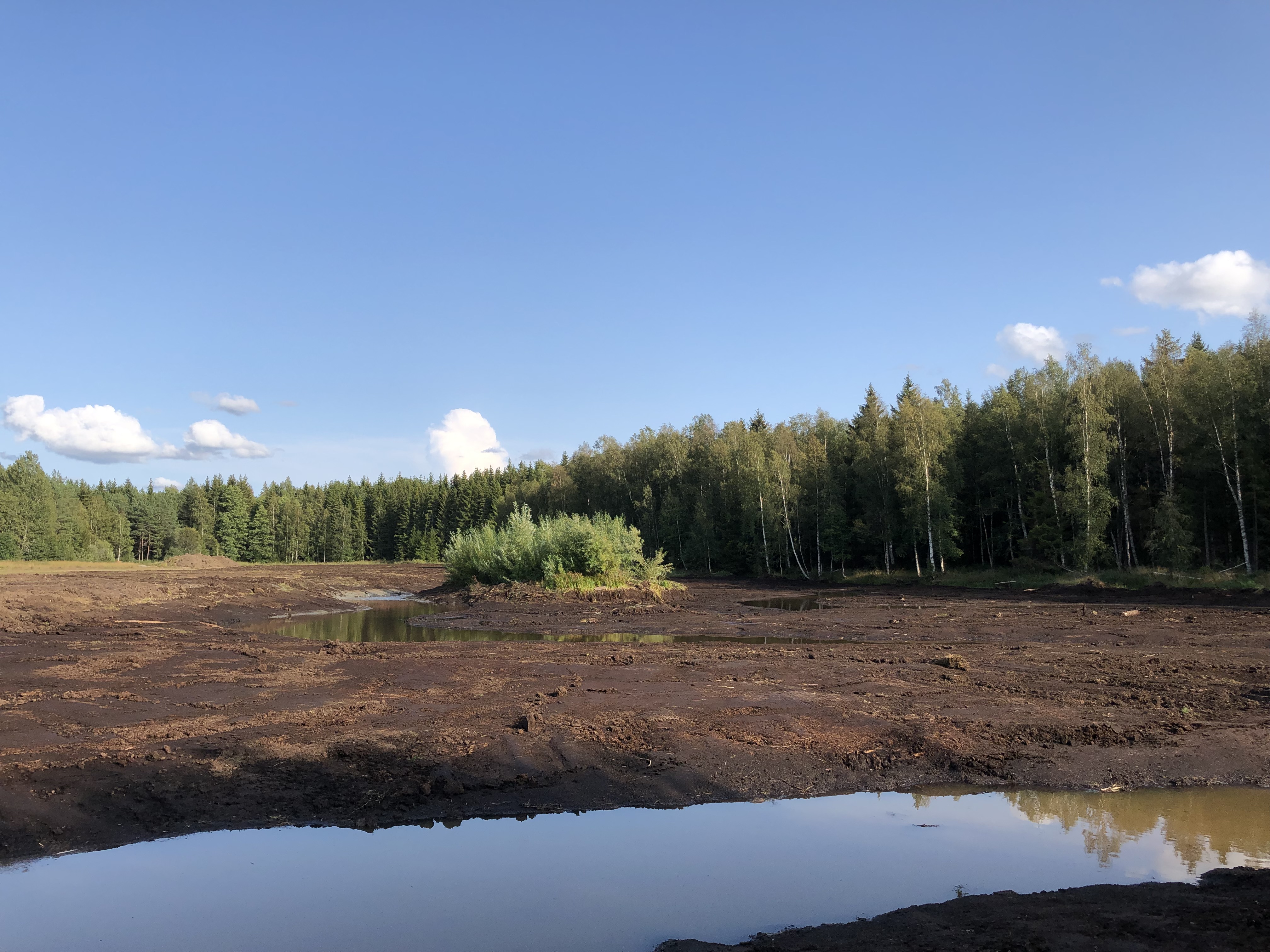 Våtmark återskapad i Sala