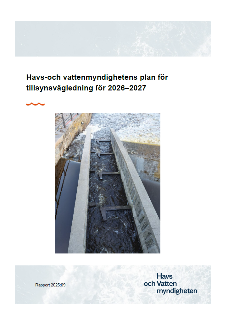 Omslag för publikation