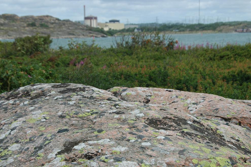 Kärkraftverket Ringhals